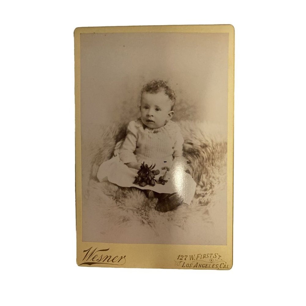 Antique Cabinet Card Victorian Baby Bearskin Rug Wesner Studio Fred Armisen